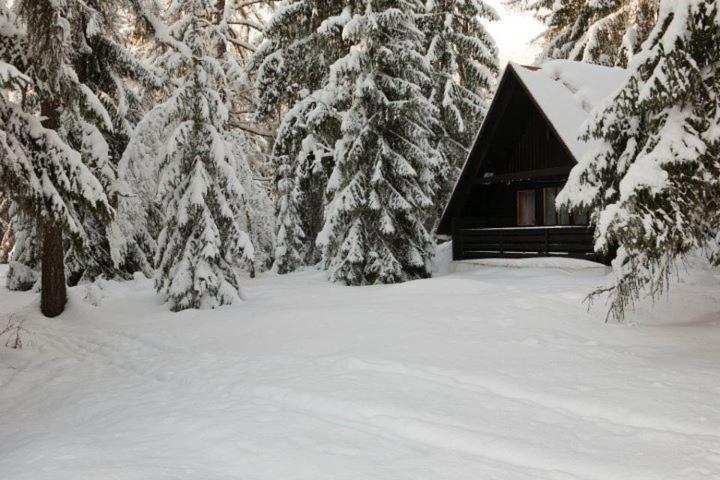 Bungalovy Pri Hoteli Spojar Žiar Exterior foto